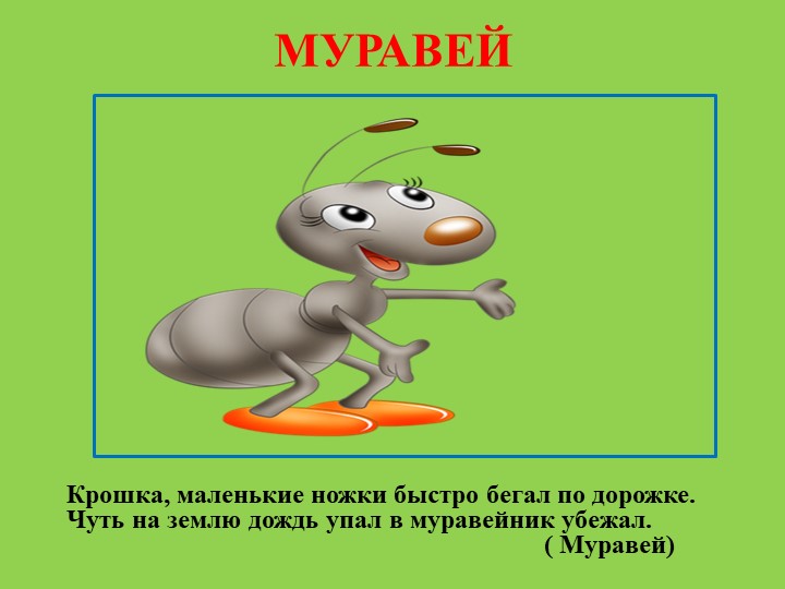 Презентация для родителей "Насекомые лепим дома"