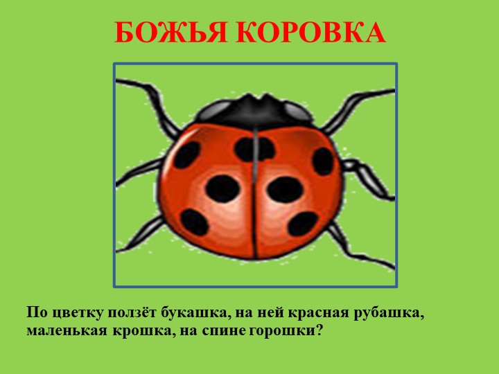 Презентация для родителей "Насекомые лепим дома"
