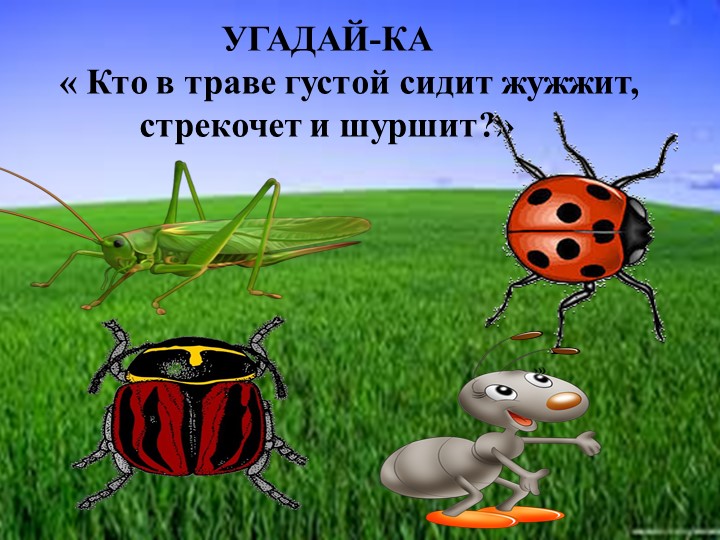 Презентация для родителей "Насекомые лепим дома"