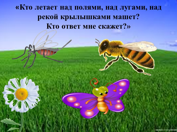 Презентация для родителей "Насекомые лепим дома"