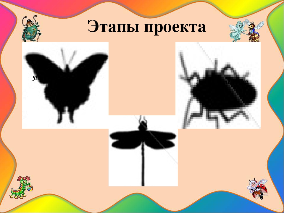 Презентация познавательно-исследовательского проекта "Загадочный мир насекомых"