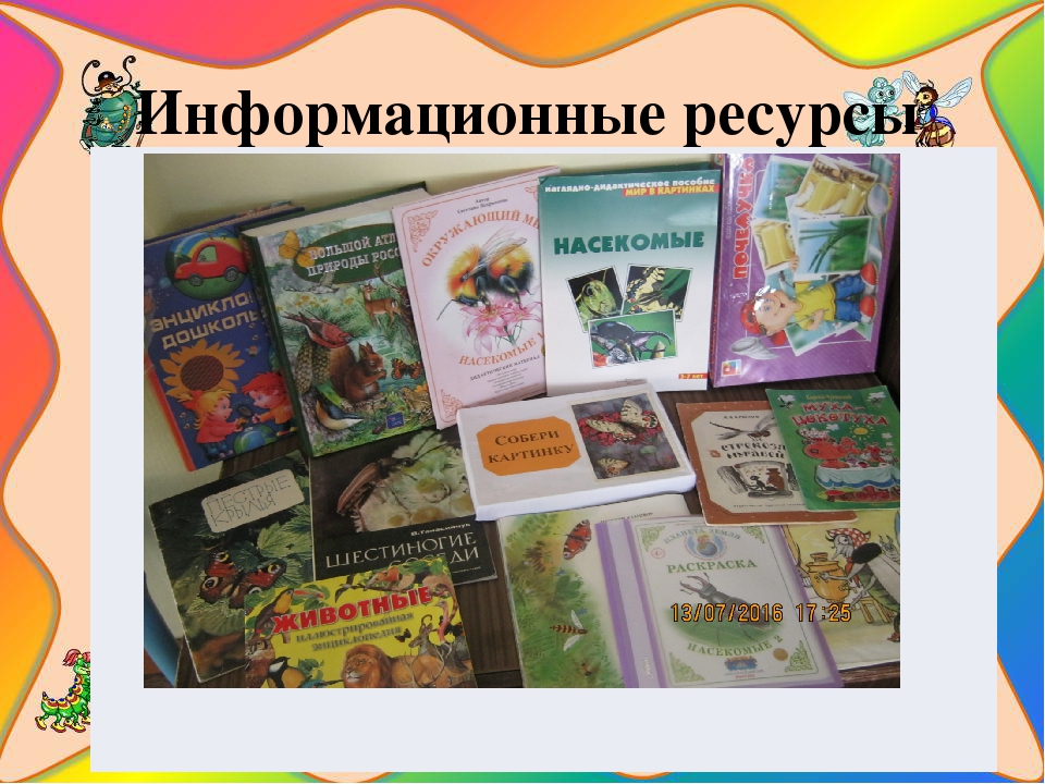 Презентация познавательно-исследовательского проекта "Загадочный мир насекомых"