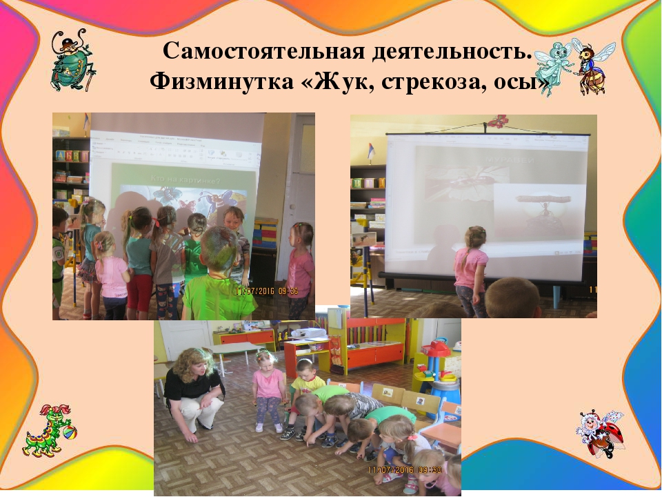 Презентация познавательно-исследовательского проекта "Загадочный мир насекомых"