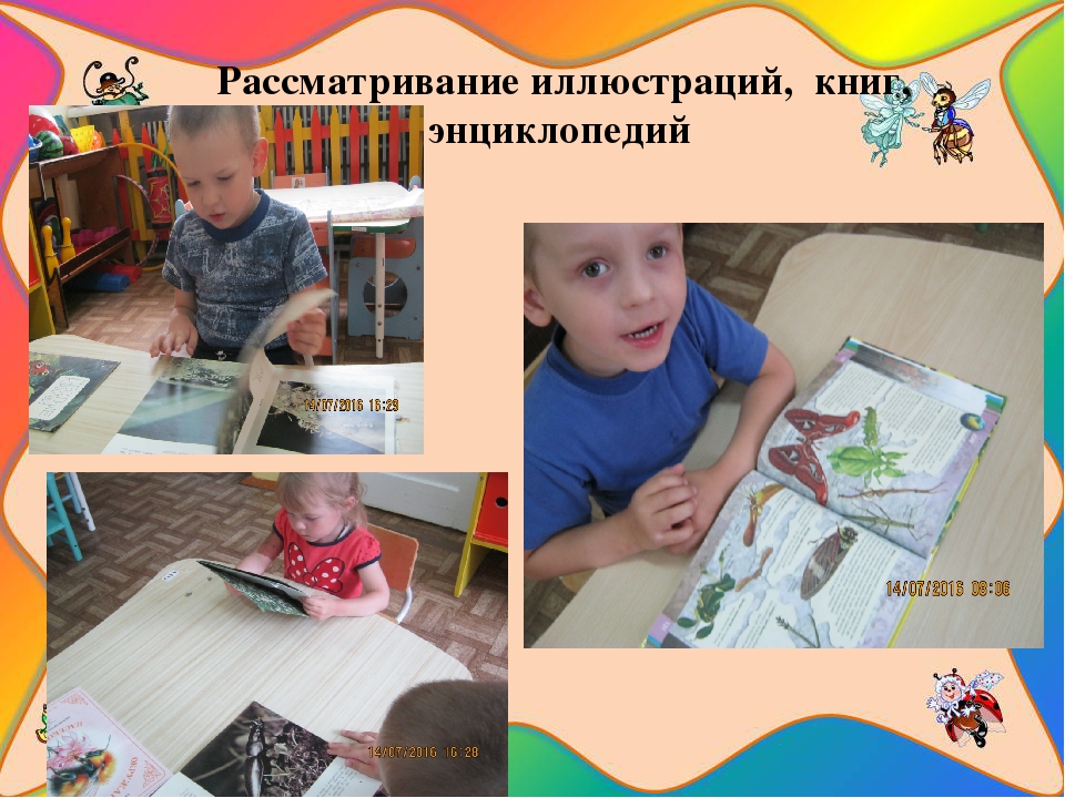 Презентация познавательно-исследовательского проекта "Загадочный мир насекомых"