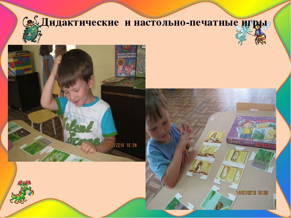 Презентация познавательно-исследовательского проекта "Загадочный мир насекомых"