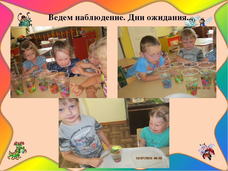 Презентация познавательно-исследовательского проекта "Загадочный мир насекомых"