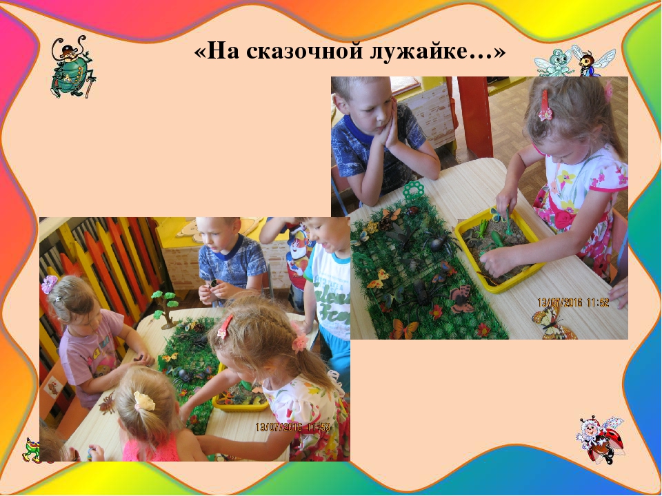 Презентация познавательно-исследовательского проекта "Загадочный мир насекомых"
