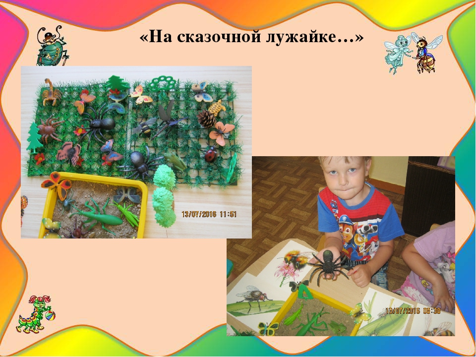 Презентация познавательно-исследовательского проекта "Загадочный мир насекомых"