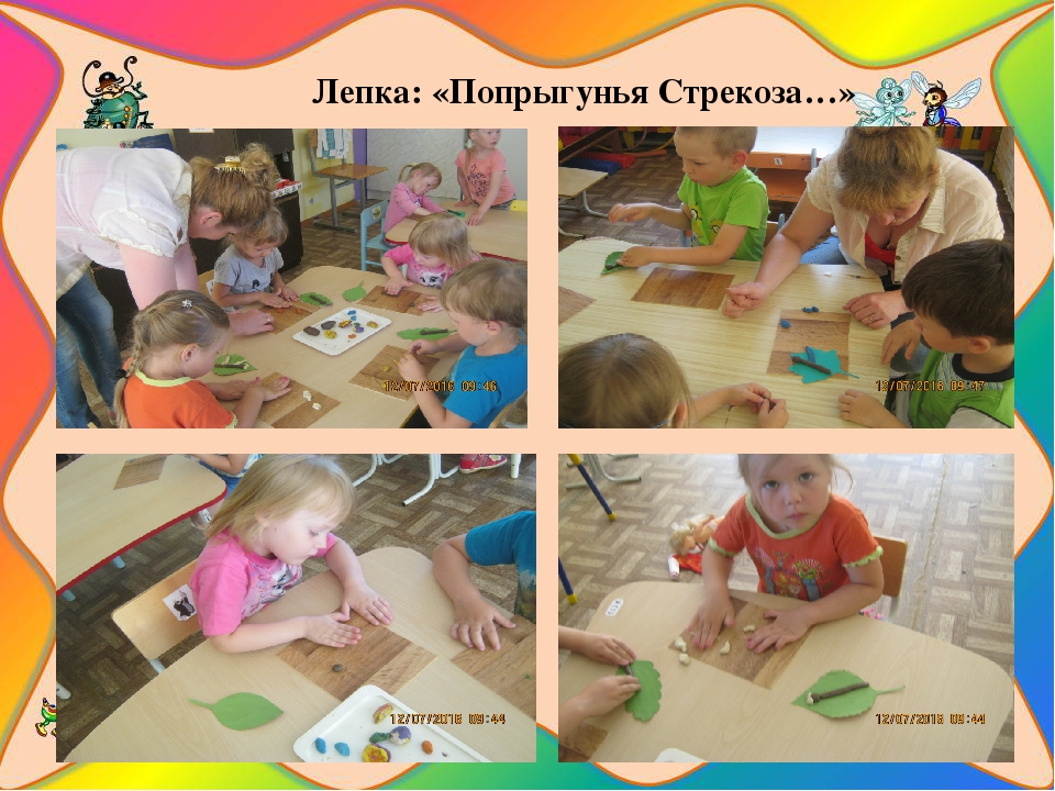 Презентация познавательно-исследовательского проекта "Загадочный мир насекомых"
