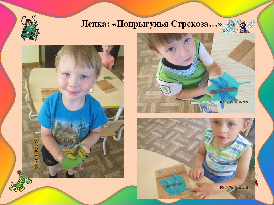 Презентация познавательно-исследовательского проекта "Загадочный мир насекомых"