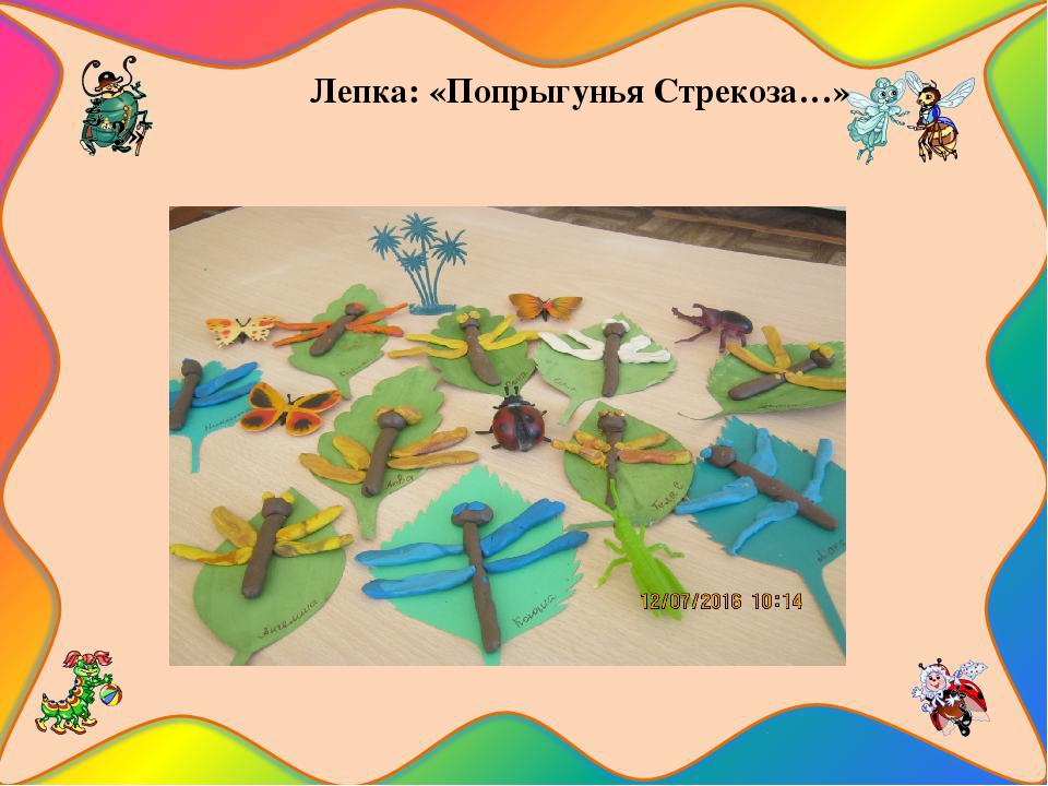 Презентация познавательно-исследовательского проекта "Загадочный мир насекомых"
