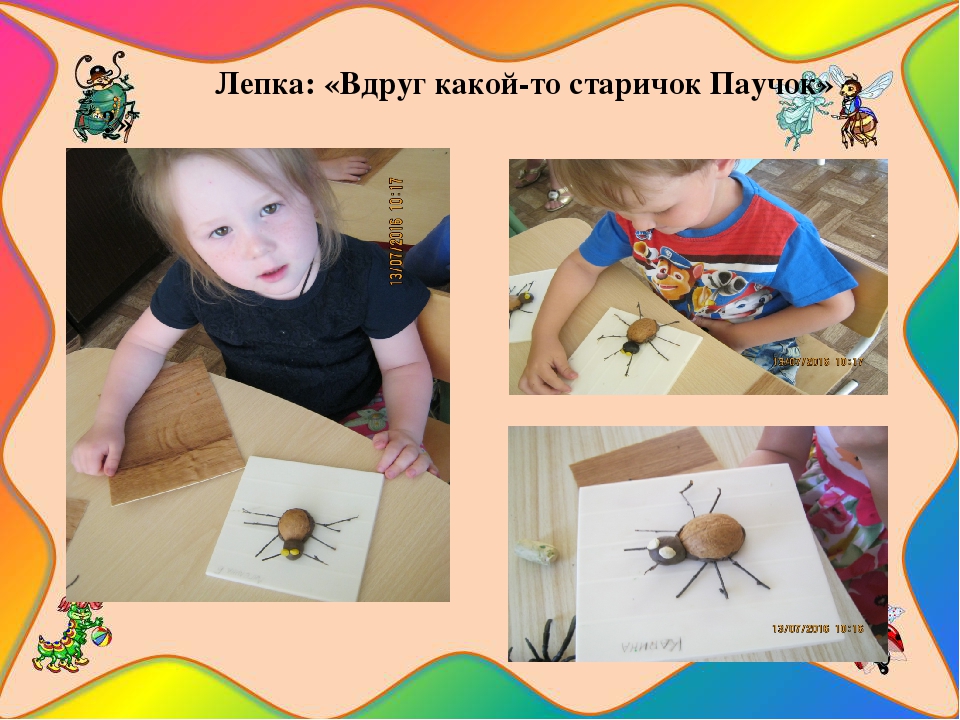 Презентация познавательно-исследовательского проекта "Загадочный мир насекомых"