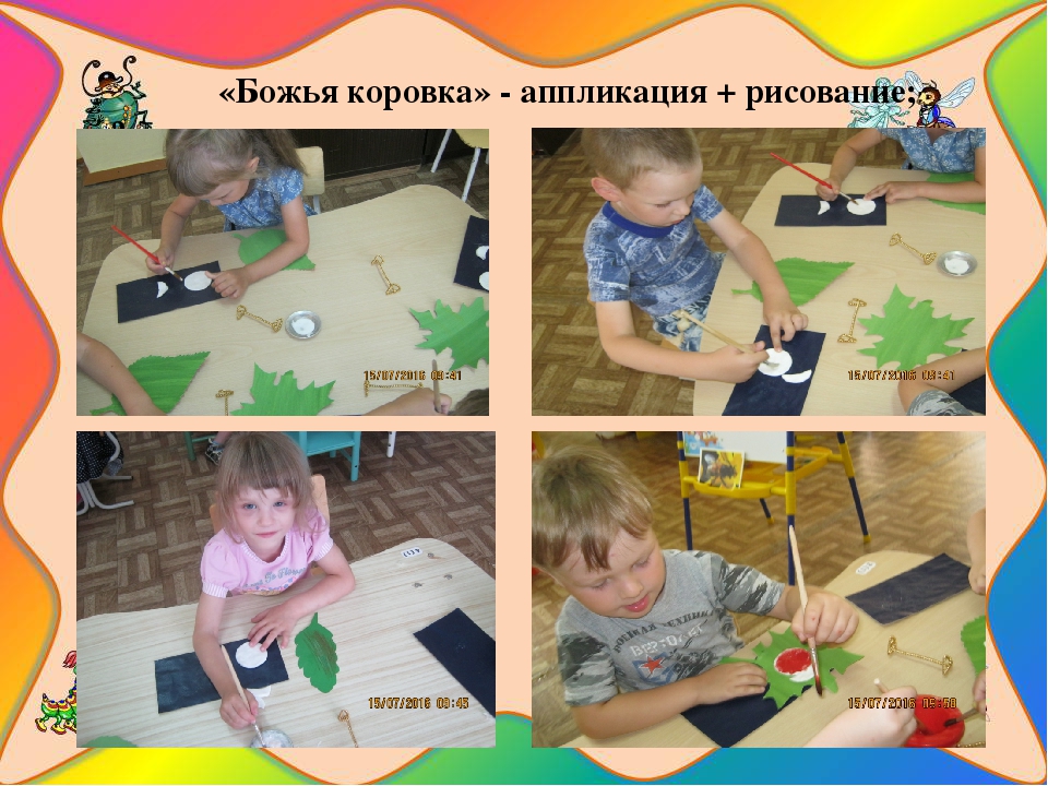 Презентация познавательно-исследовательского проекта "Загадочный мир насекомых"
