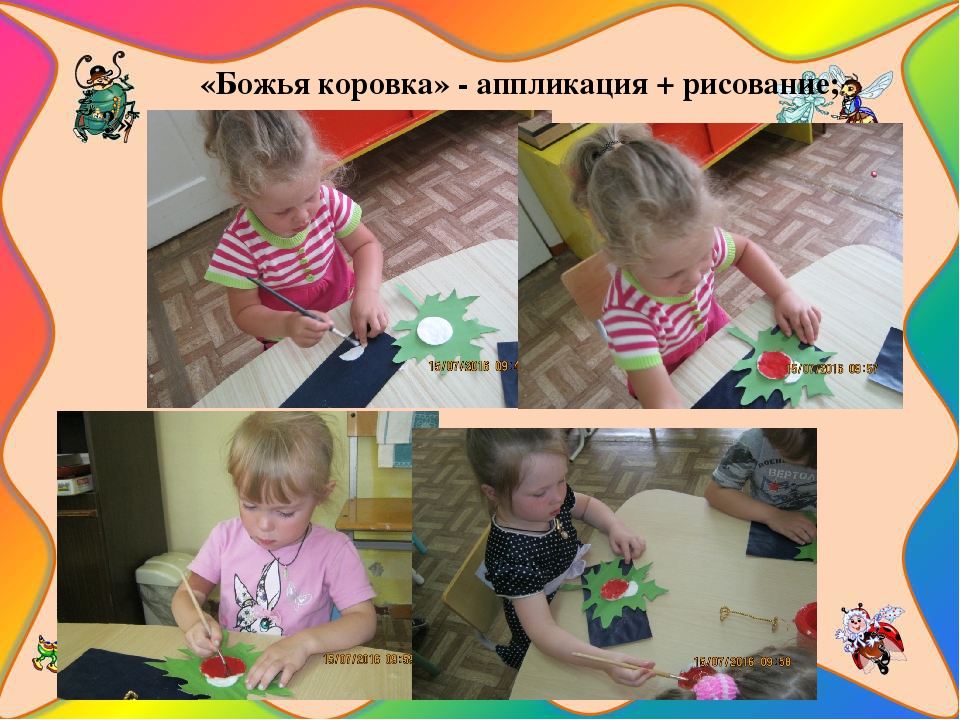 Презентация познавательно-исследовательского проекта "Загадочный мир насекомых"