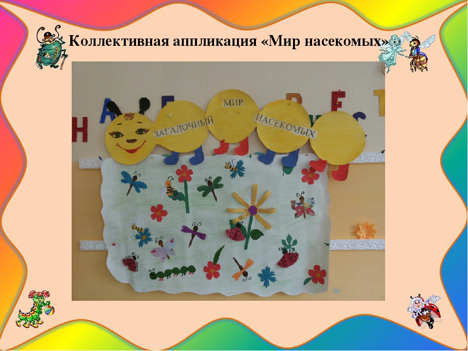 Презентация познавательно-исследовательского проекта "Загадочный мир насекомых"