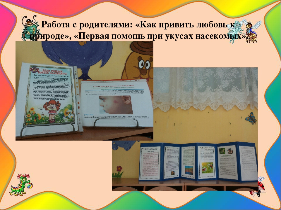 Презентация познавательно-исследовательского проекта "Загадочный мир насекомых"