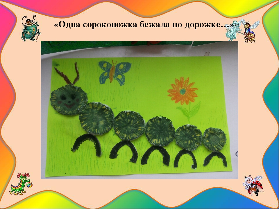 Презентация познавательно-исследовательского проекта "Загадочный мир насекомых"