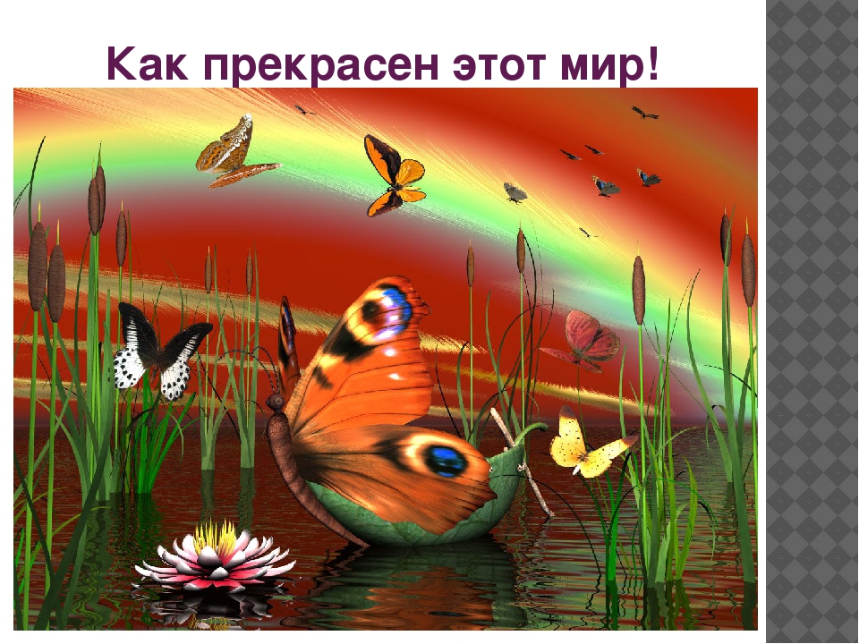 Презентация познавательно-исследовательского проекта "Загадочный мир насекомых"