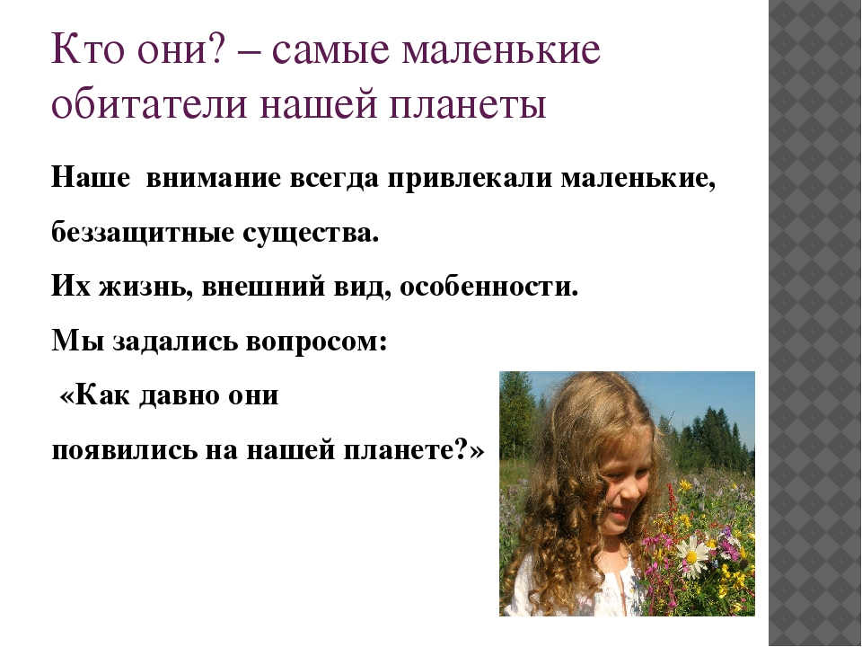 Презентация познавательно-исследовательского проекта "Загадочный мир насекомых"