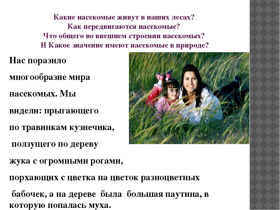 Презентация познавательно-исследовательского проекта "Загадочный мир насекомых"