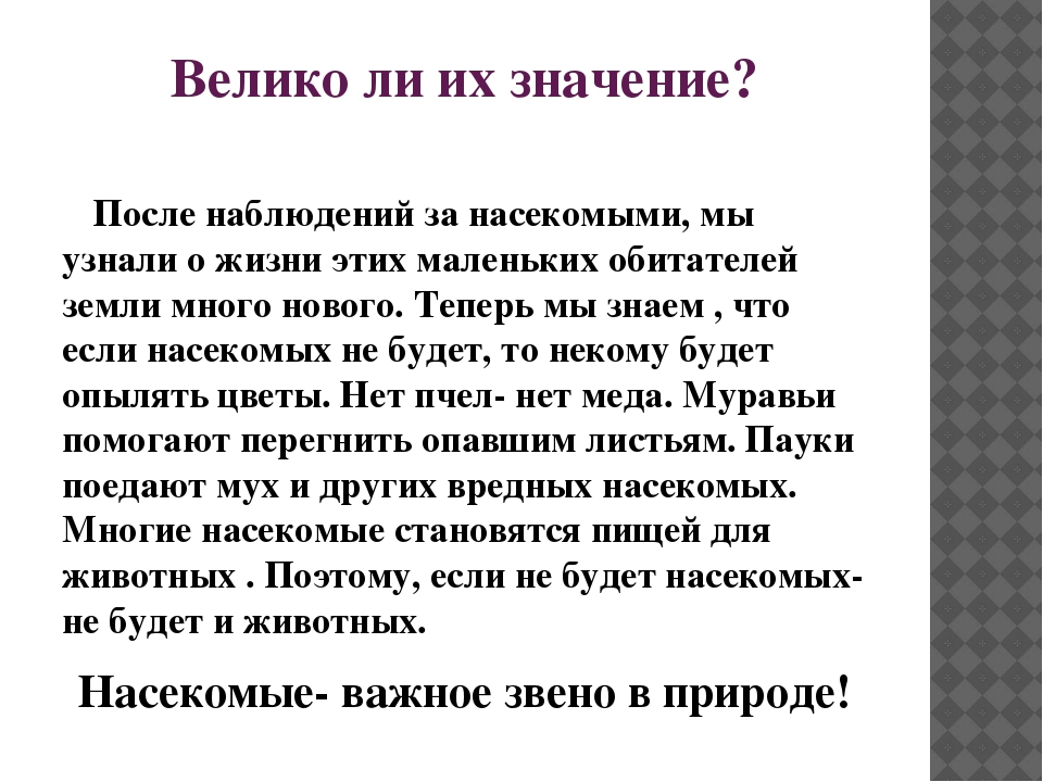 Презентация познавательно-исследовательского проекта "Загадочный мир насекомых"