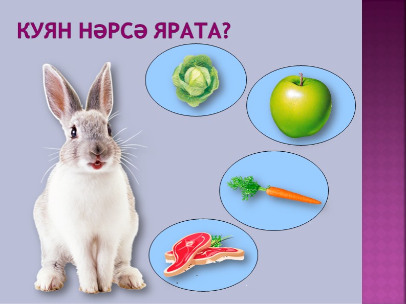 Дидактическая игра "Кем нэрсэ ярата?"