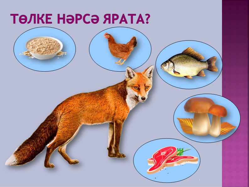 Дидактическая игра "Кем нэрсэ ярата?"