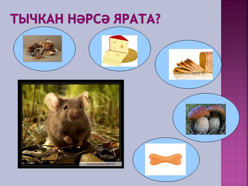 Дидактическая игра "Кем нэрсэ ярата?"