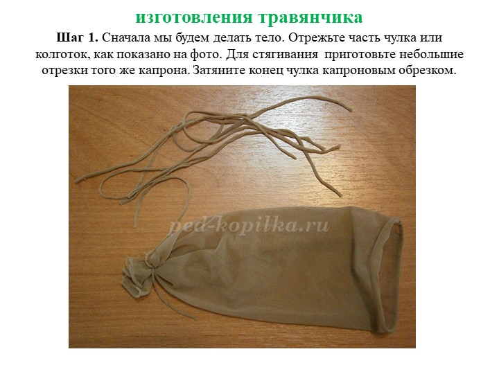 Презентация по экологии "Игрушка травянчик"