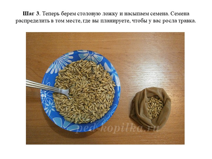 Презентация по экологии "Игрушка травянчик"