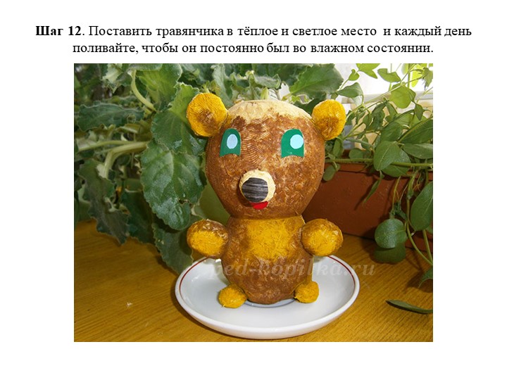 Презентация по экологии "Игрушка травянчик"