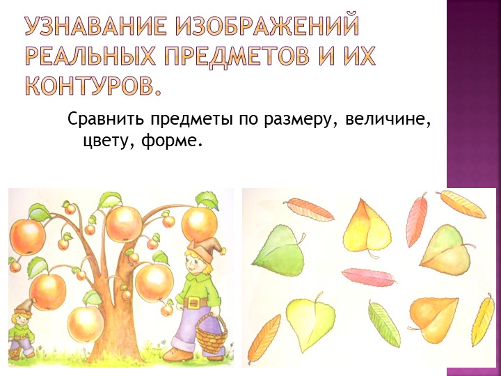 Презентация: "Развитие общей и мелкой моторики как основы формирования графомоторных навыков у старших дошкольников".