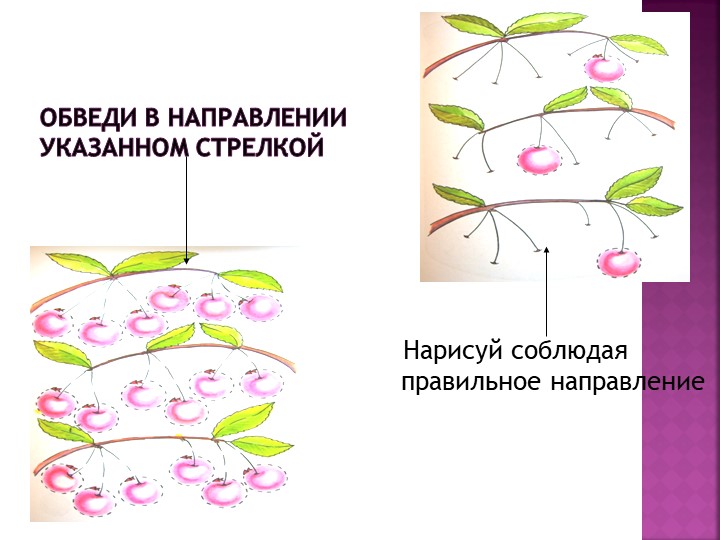 Презентация: "Развитие общей и мелкой моторики как основы формирования графомоторных навыков у старших дошкольников".