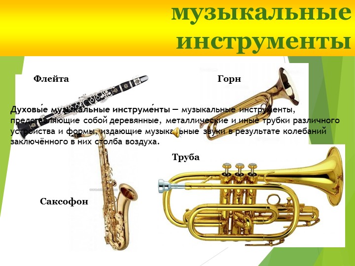 Презентация на тему "В мире музыкальных инструментов".