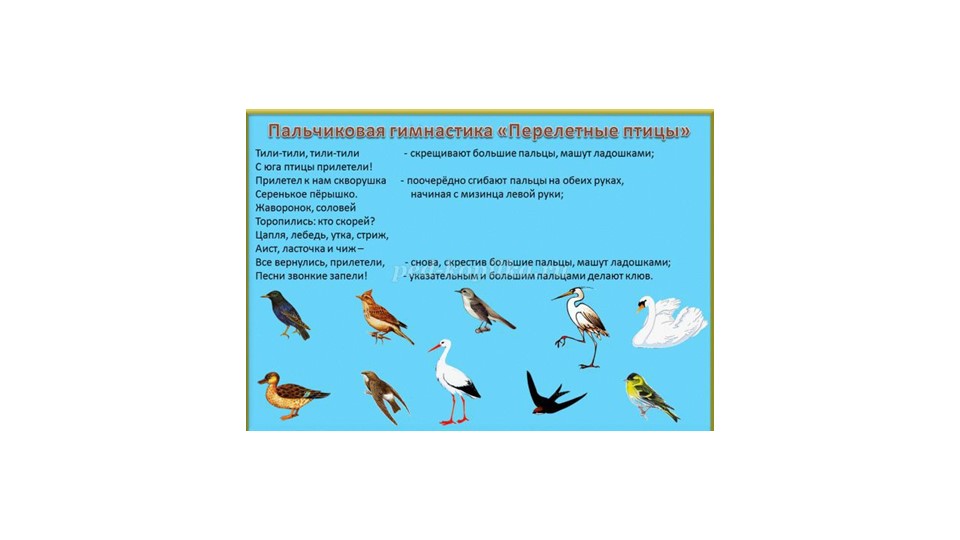 Презентация по Окружающему миру на тему "Перелетные птицы" для детей дошкольников 5-7 лет