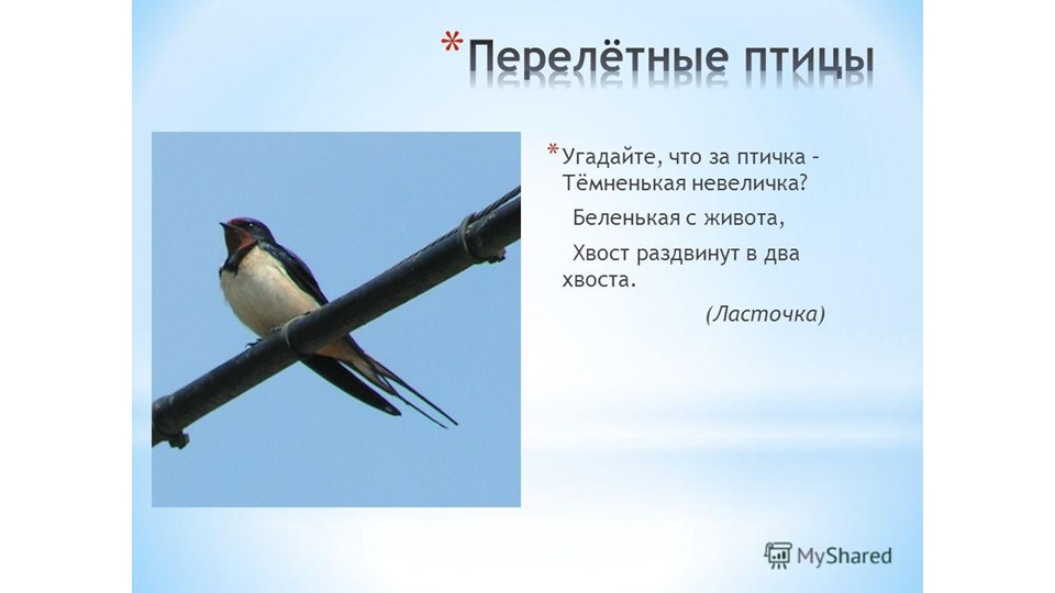 Презентация по Окружающему миру на тему "Перелетные птицы" для детей дошкольников 5-7 лет