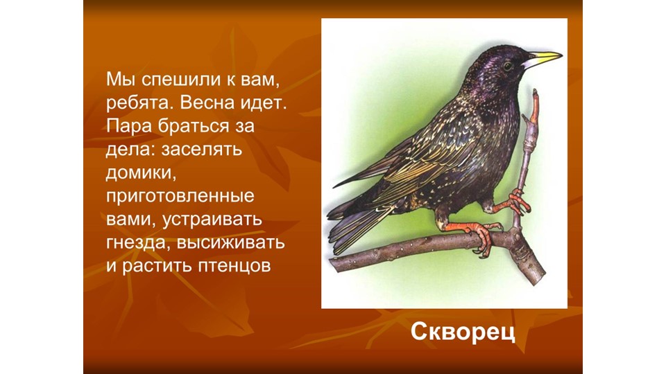 Презентация по Окружающему миру на тему "Перелетные птицы" для детей дошкольников 5-7 лет