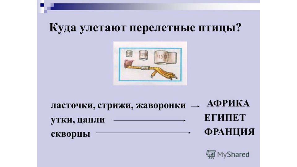 Презентация по Окружающему миру на тему "Перелетные птицы" для детей дошкольников 5-7 лет