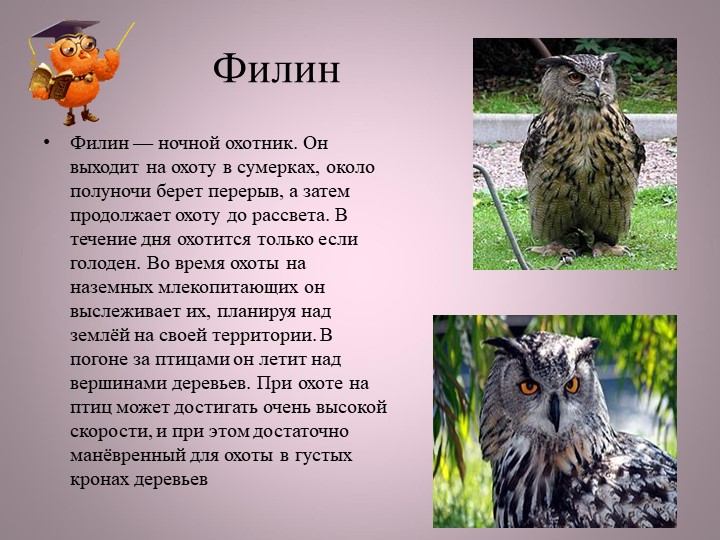 Птицы нашей малой Родины