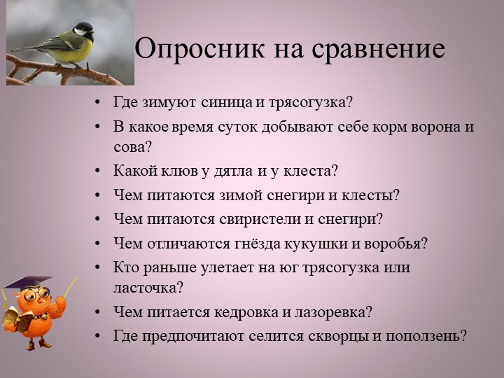 Птицы нашей малой Родины