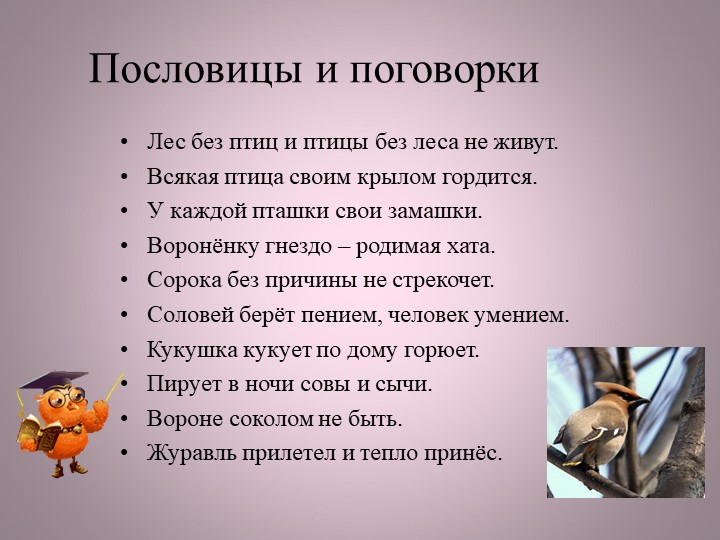 Птицы нашей малой Родины