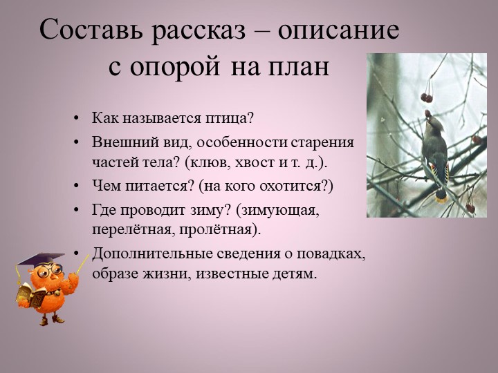 Птицы нашей малой Родины