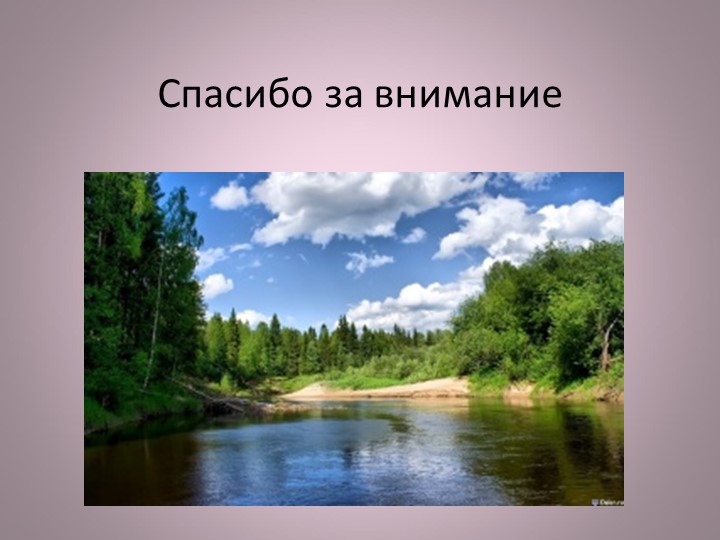 Птицы нашей малой Родины