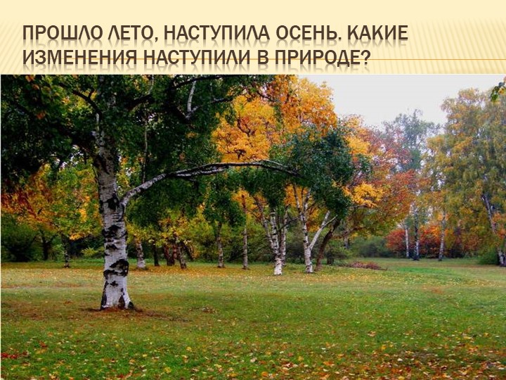 Презентация "Краски осени" для познавательного развития детей младшего возраста
