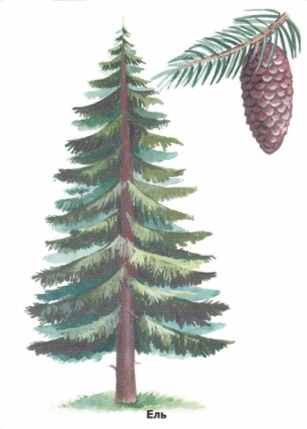 Shape2