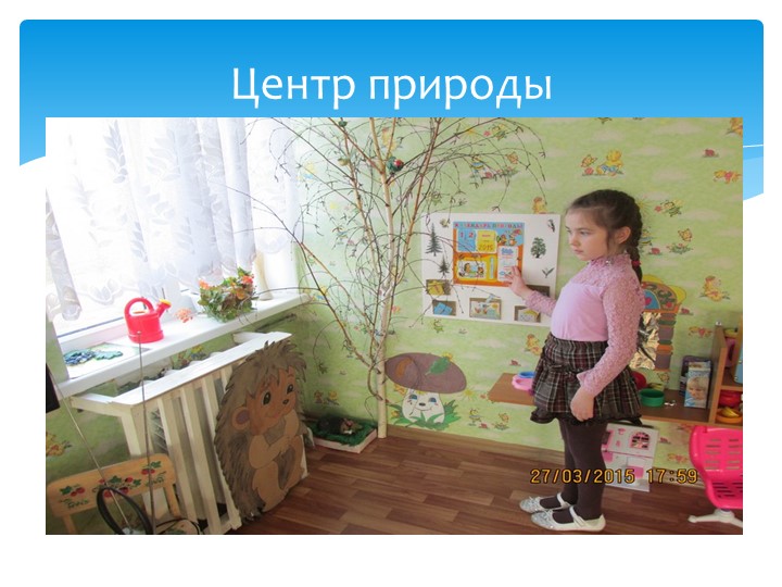 Организация предметно-развивающей среды в подготовительной группе в связи с введением ФГОС ДО