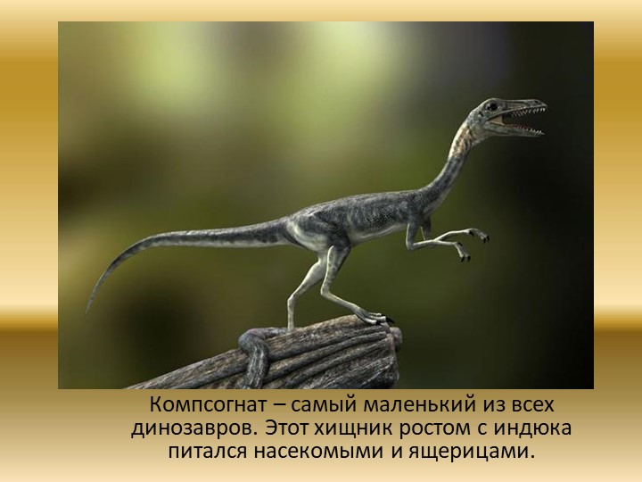 Презентация "Динозавры. Какими они были?"