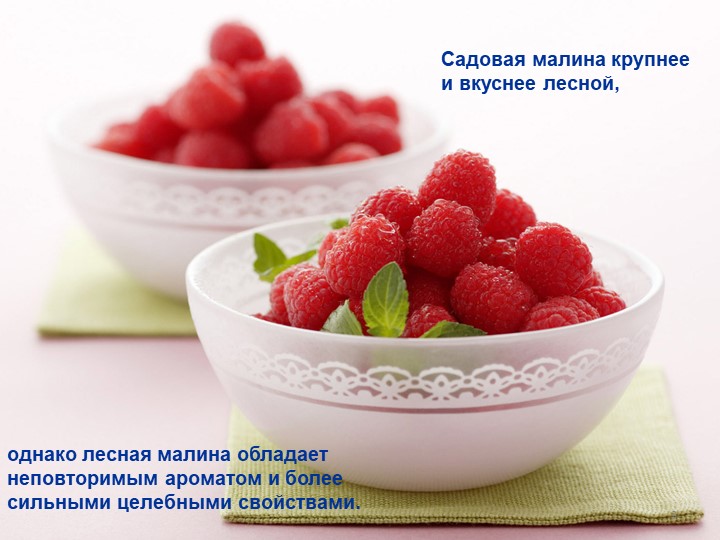 Презентация по окружающему миру "Малина"