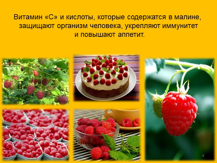 Презентация по окружающему миру "Малина"