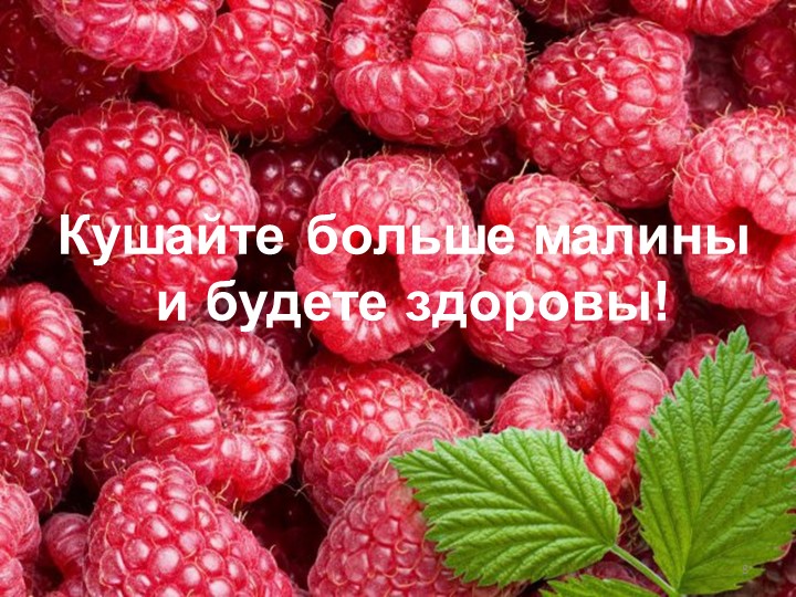 Презентация по окружающему миру "Малина"